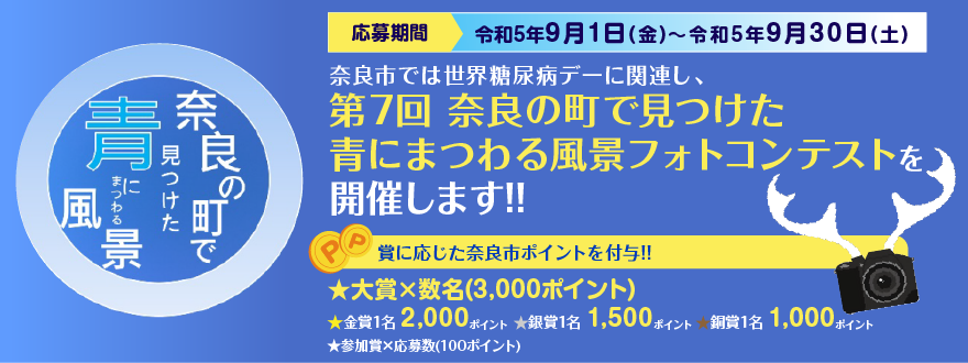 23-narapoint_gallery-blue6-0718_naka_img.png